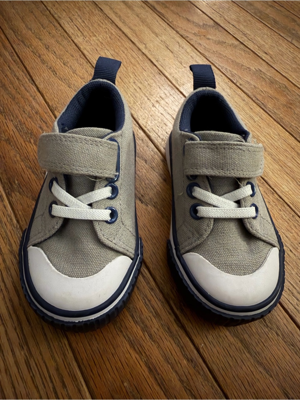 Tommy Bahama Gray Canvas Kids Sneakers with Navy Trim